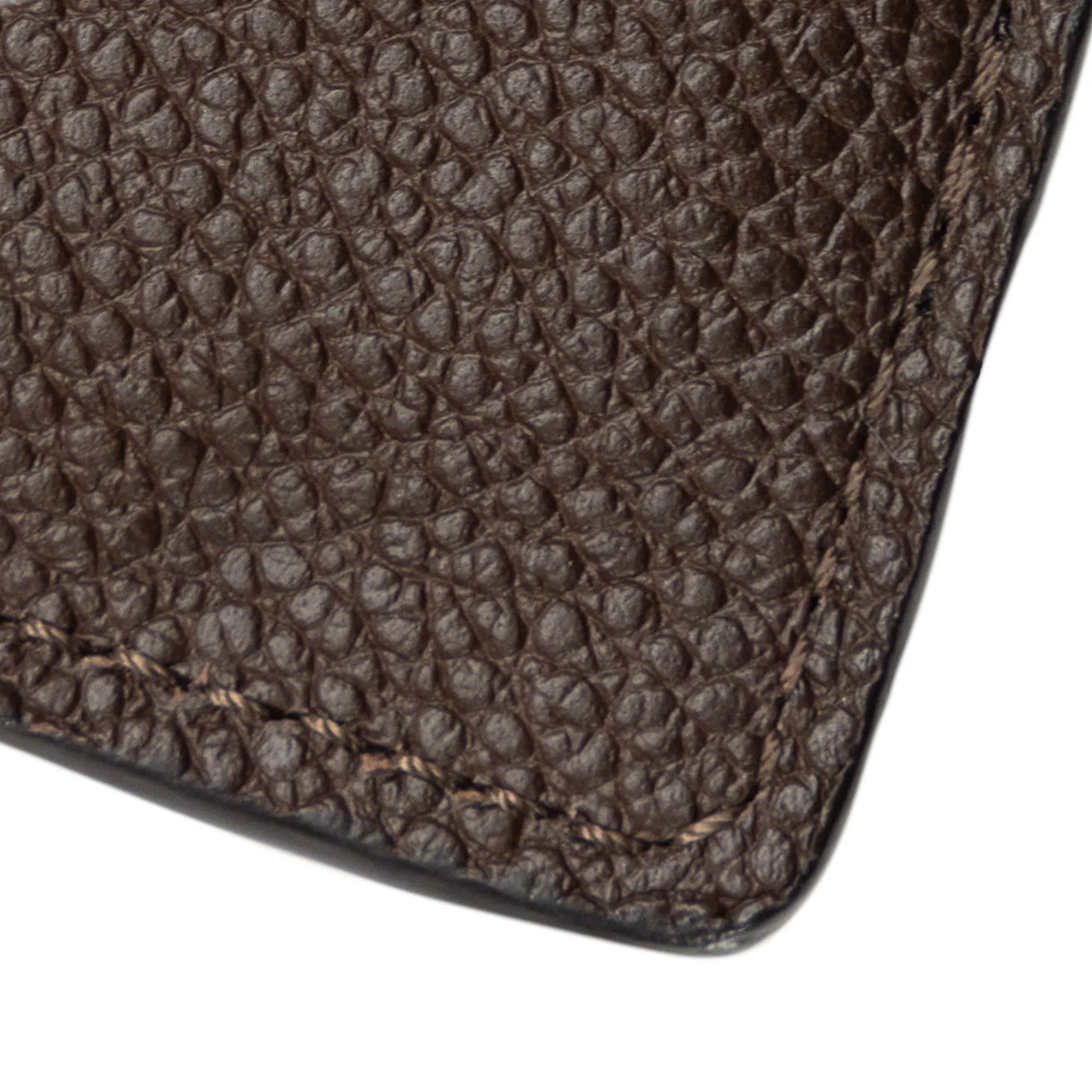 Brown Louis Vuitton Monogram Empreinte Portefeuille Curieuse Wallet