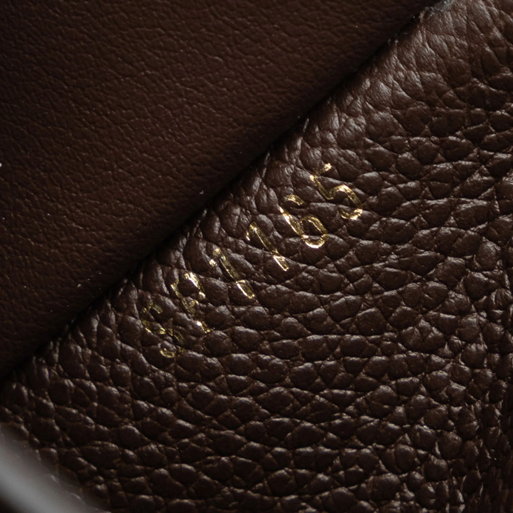 Brown Louis Vuitton Monogram Empreinte Portefeuille Curieuse Wallet