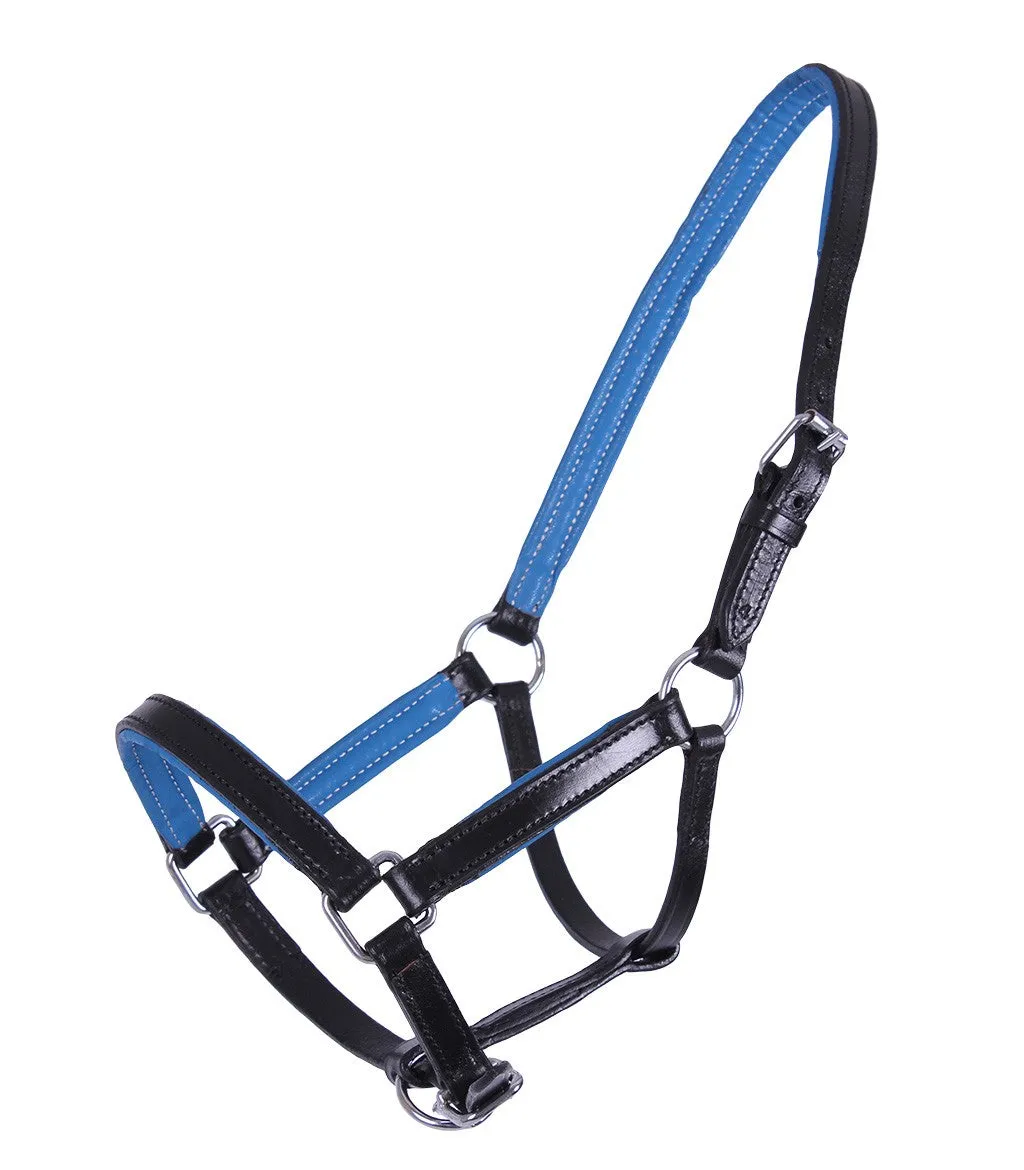QHP Foal Halter "Spirit"