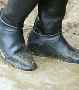 Waldhausen Galoshes